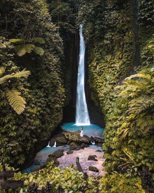 Bali: Discover Jungle Waterfalls and Rice Terraces - What to Expect from the Tour