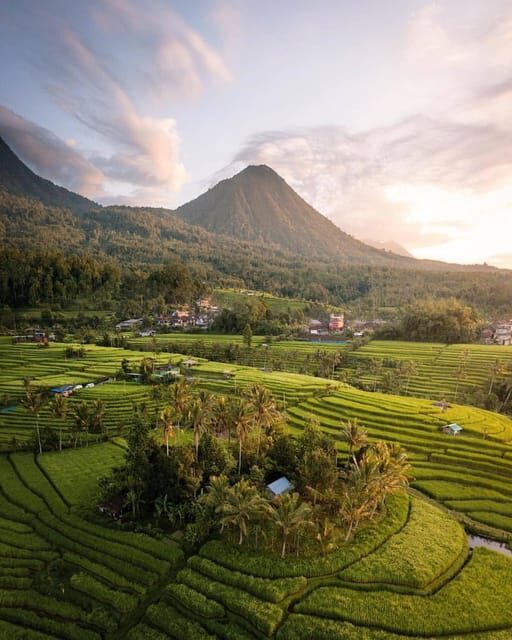 Bali: Discover Jungle Waterfalls and Rice Terraces - The Sum Up