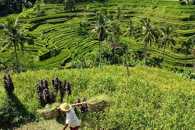 Bali Discovery Tour With Village And Temple - Village Experience