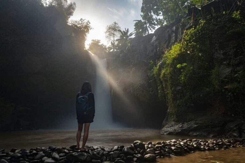 Bali Discovery: Waterfalls, Butterfly Park & Village Life - Final Thoughts