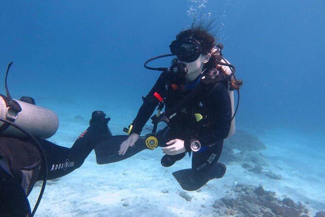 Bali Diving at Tanjung Benoa - Dive Sites in Tanjung Benoa