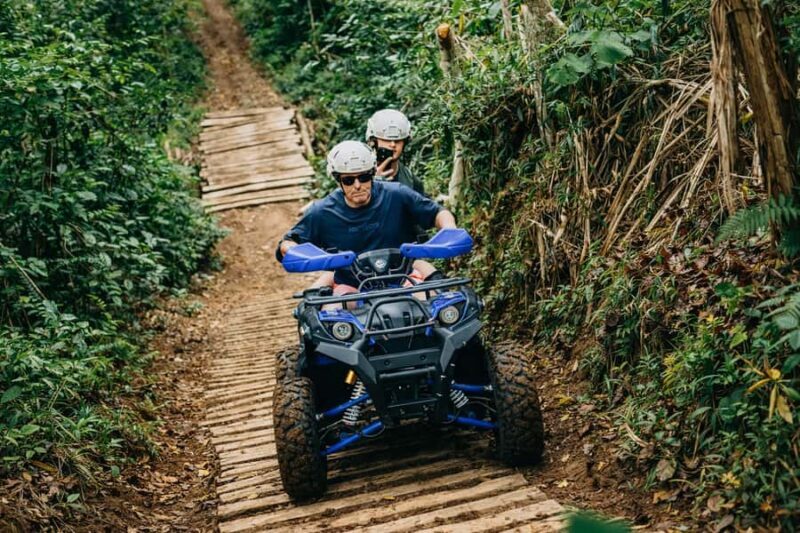 Bali: Dolphin Swimming Tour with ATV Quad Bike & Waterfall - Who Is This Tour Best For?
