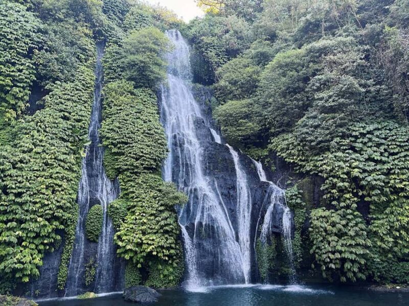 Bali: Dolphin Swimming Tour with ATV Quad Bike & Waterfall - FAQ