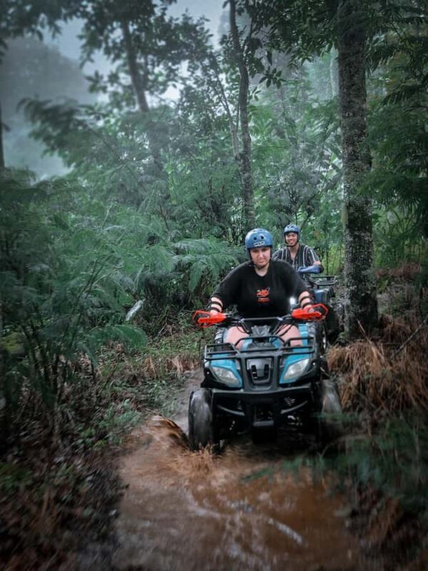 Bali: Dolphin Swimming Tour with ATV Quad Bike & Waterfall - Final Thoughts