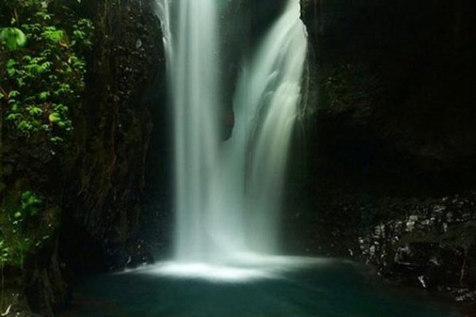 Bali Dolphin Tour Package Combination With Bedugul Trip - Reviews and Ratings Analysis