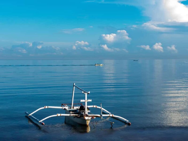 Bali: Dolphin Watching, Aling Aling Waterfall, All Inclusive - Disclaimer: This review is based on information provided and reviews from past travelers. The actual experience may vary depending on weather, wildlife activity, and guide availability.