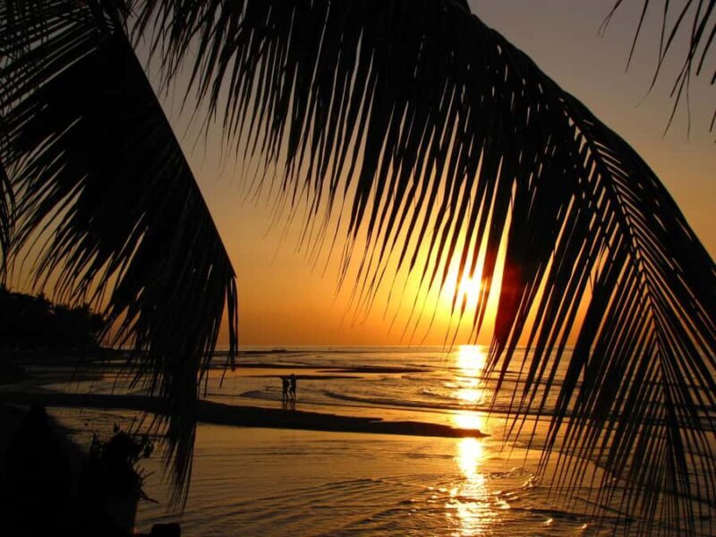 Bali: Dolphin Watching, Aling Aling Waterfall, All Inclusive - Good To Know