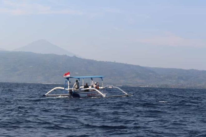 Bali: Dolphin Watching and Snorkeling in Lovina - Inclusions and Exclusions