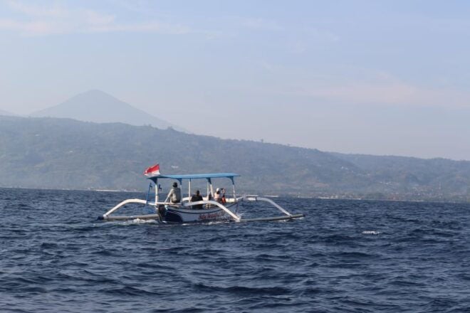 Bali: Dolphin Watching and Snorkeling in Lovina - Important Safety Information
