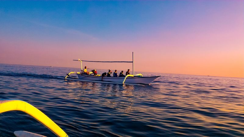 Bali Dolphin Watching and Ulun Danu Temple Private Day Trip - Key points before you book