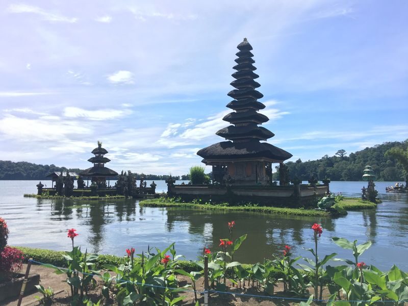 Bali Dolphin Watching and Ulun Danu Temple Private Day Trip - The long road north starts before dawn