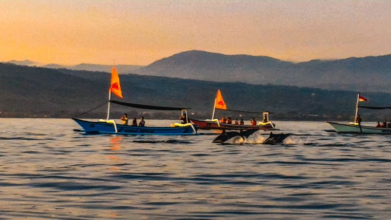 Bali Dolphin Watching and Ulun Danu Temple Private Day Trip - Ulun Danu Beratan, the day’s scenic centerpiece