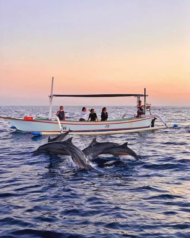 Bali: Dolphin Watching, Snorkeling, and Munduk Day Tour - Detailed Breakdown of the Experience
