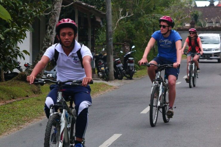 Bali Downhill Cultural Cycling Tour - Experience Highlights and Itinerary