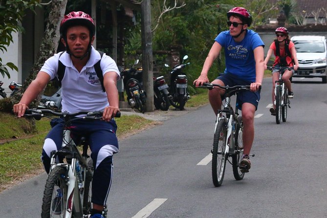 Bali Downhill Cultural Cycling Tour - Tour Highlights and Itinerary