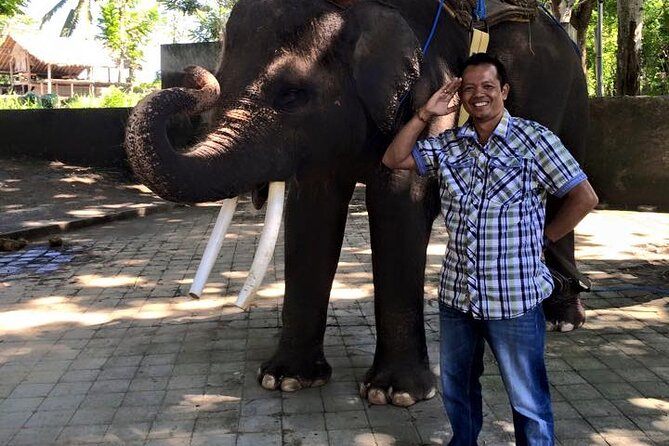 Bali Dream Tours and Transportation - Questions and Support