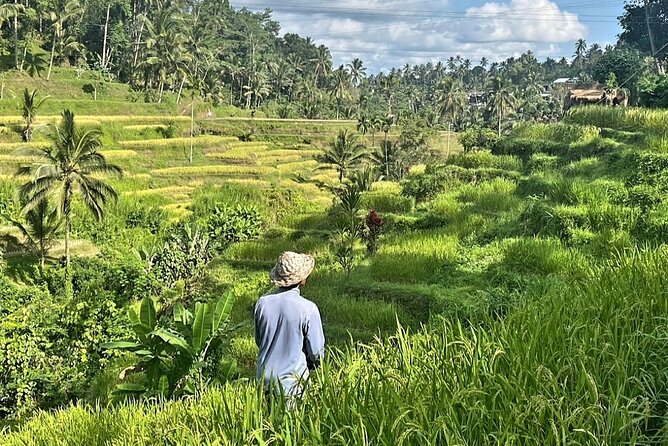 Bali Driver - Private Car Charter With English Speaking Driver - Benefits of Hiring an English Speaking Driver