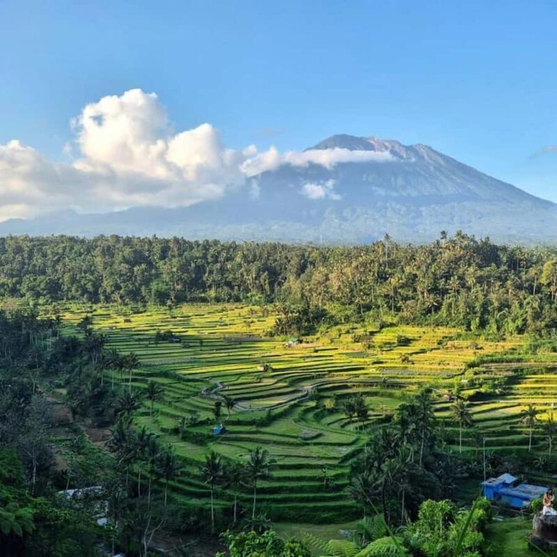 Bali: East Bali Hidden Gems Tour with Waterfall & Village - The Itinerary: What You Can Expect