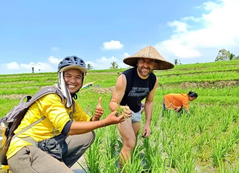 Bali Easy Countryside Cycling with Rice Fields & Local Life - FAQs