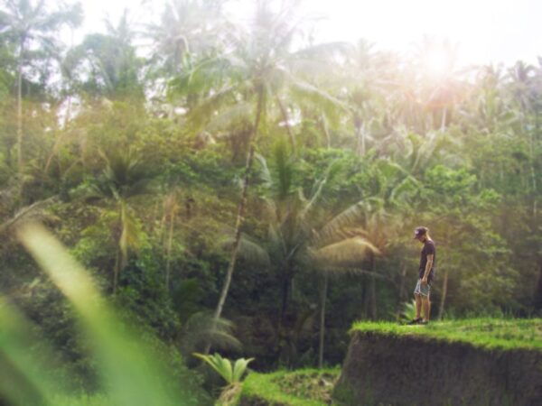 Bali Eat Pray Love Private Tour - The Sum Up
