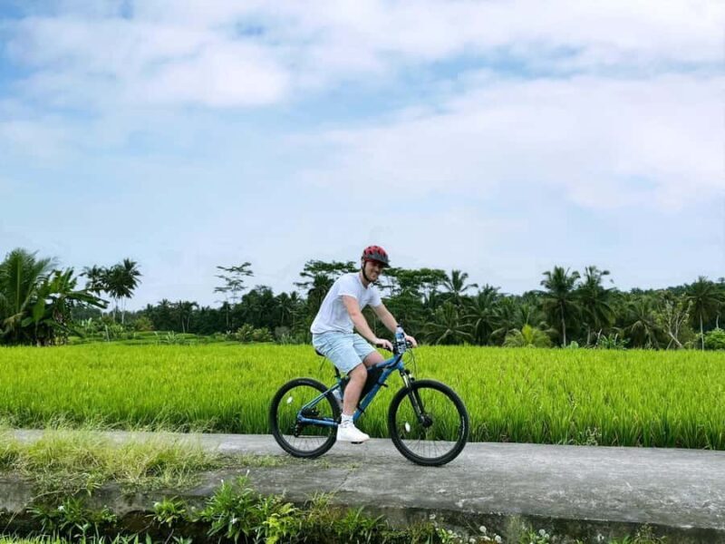 Bali: Electric Bike Cycle Tour through Rice Terrace - Good To Know