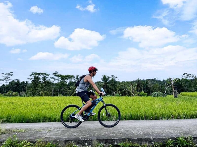 Bali: Electric Bike Cycle Tour through Rice Terrace - The Experience in Detail