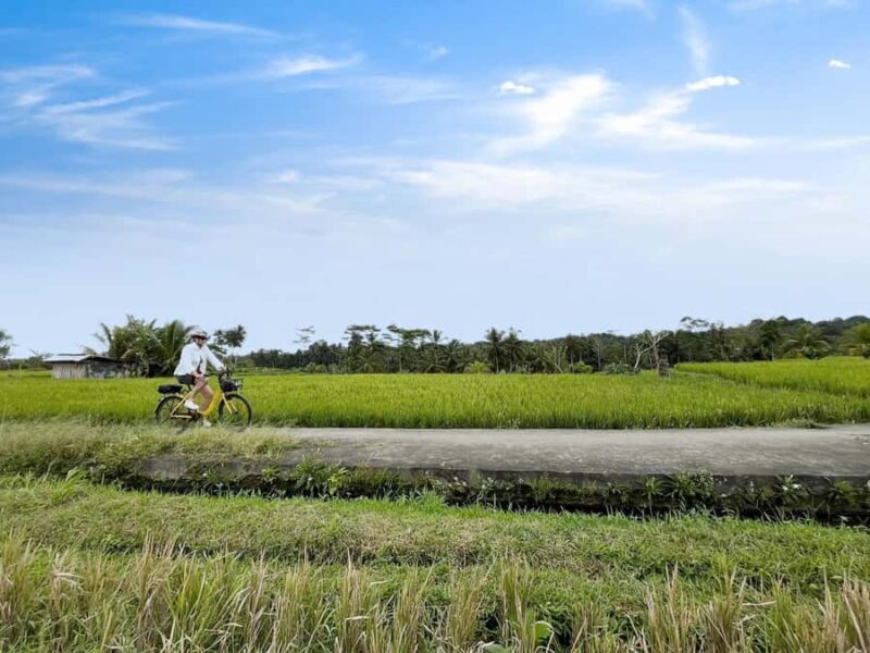 Bali: Electric Bike Cycle Tour through Rice Terrace - Who This Tour Suits Best