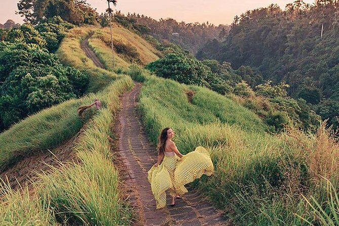 Bali Elephant Cave, Ubud, and Waterfall Private Tour with Lunch - The Ease of Private Transportation and Planning