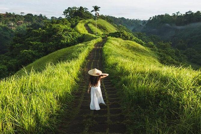 Bali Elephant Cave, Ubud, and Waterfall Private Tour with Lunch - The Authenticity and Comfort of a Private Tour