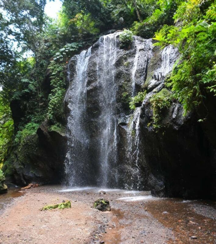 Bali Epics Journey Waterfalls Tracking Tour - A Deep Dive into the Waterfalls and Experience