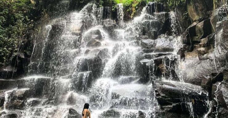 Bali Escapade: Waterfall Wonders and Rice Terrace Trek - Activity Details