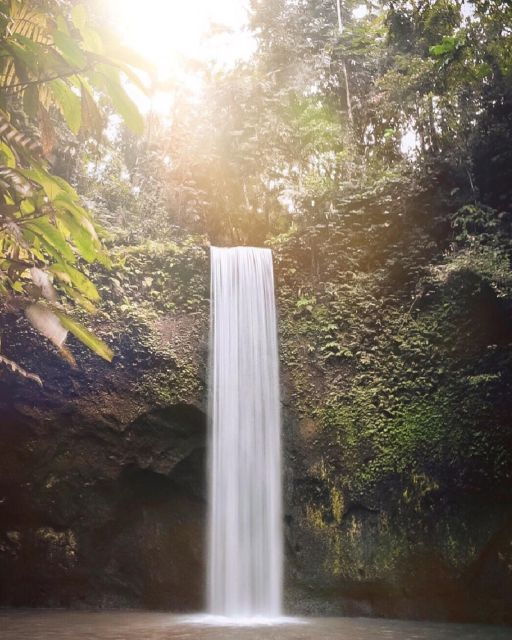 Bali Escapade: Waterfall Wonders and Rice Terrace Trek - Testimonials