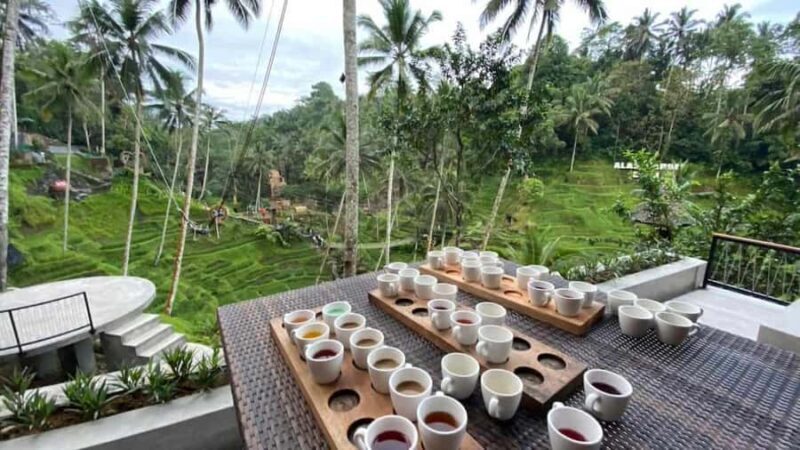 Bali: Exclusive 4WD Sunrise Jeep with Coffee Tasting - An In-Depth Look at the Bali Sunrise Jeep Tour