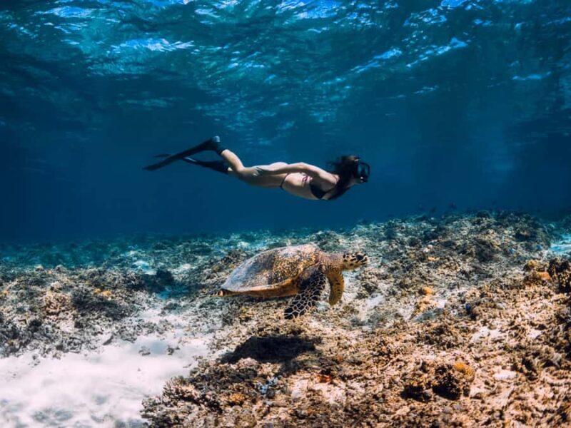 Bali: Exclusive Private Snorkeling & City Tour - Bali: Exclusive Private Snorkeling & City Tour