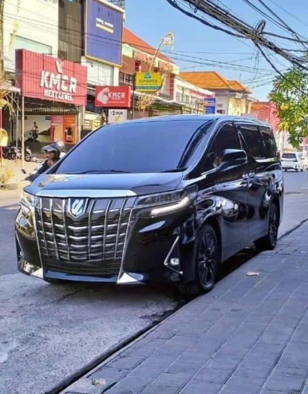 Bali: Exclusive VIP & Fully Customizable Private Luxury Trip - Good To Know