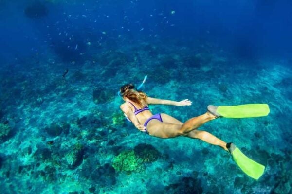 Bali: Experience of Nusa Penida Snorkeling and Island Tour - Questions You May Have