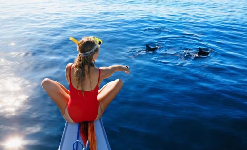 Bali : Explore beauty of North Bali Costumized tour - Final Thoughts