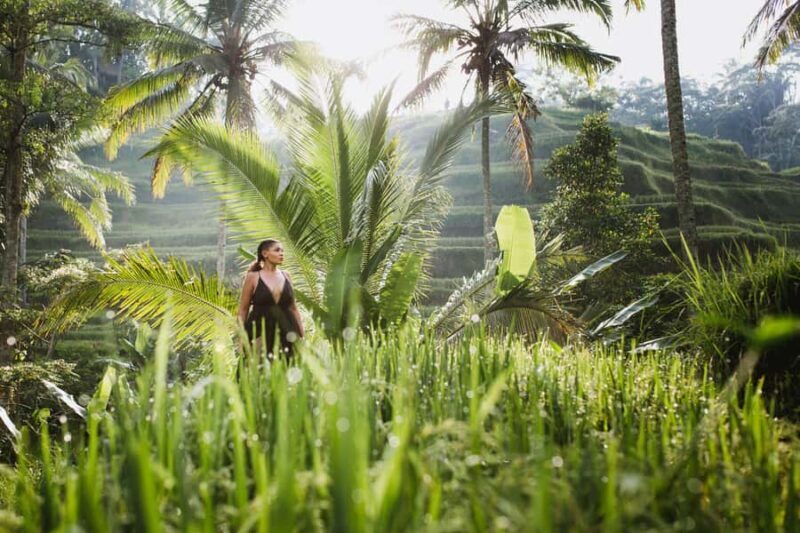 Bali : Explore Beauty of Ubud with 3 Best Tour Options - Overview of the Ubud Tours