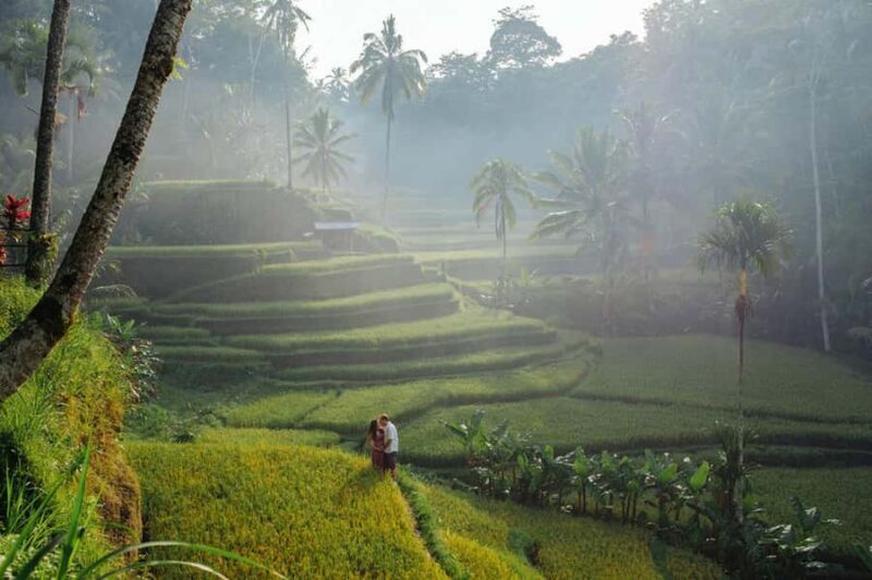 Bali : Explore Beauty of Ubud with 3 Best Tour Options - Itinerary Breakdown and Practical Details