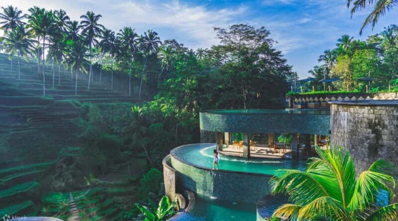 Bali : Explore Beauty of Ubud with 3 Best Tour Options - Who Should Consider These Tours?
