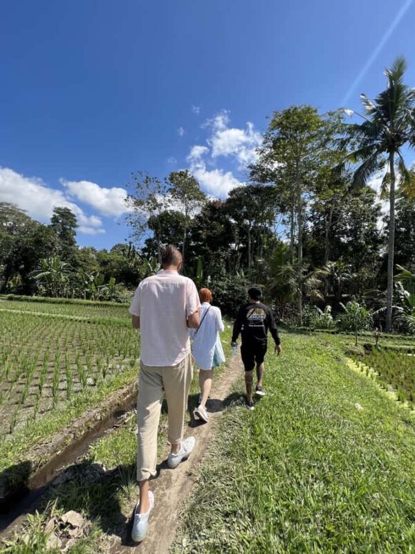 Bali: Explore the Hidden Trails of Taro Village - Introduction to the Trek: An Authentic Slice of Bali