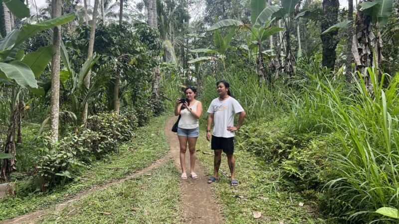 Bali: Explore the Hidden Trails of Taro Village - Practical Details: Transportation, Duration, and Price
