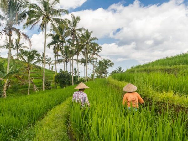Bali: Family Friendly Tour. Temple, Botanical Park Unesco. - Booking and Payment Options
