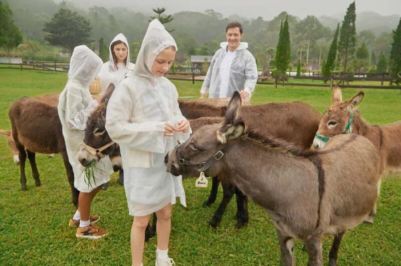 Bali: Farm House Experience with Entry Ticket & Options - The Picnic Experience