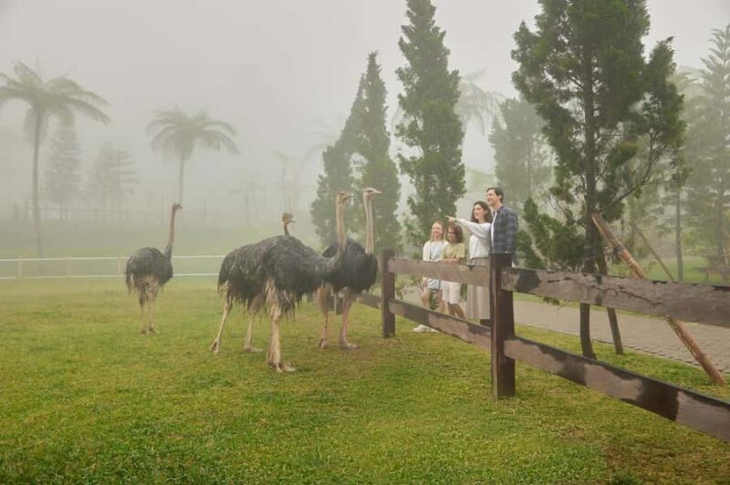 Bali: Farm House Experience with Entry Ticket & Options - Practical Details and Tips