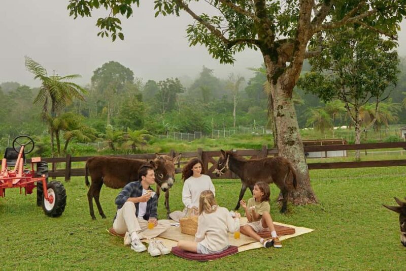 Bali: Farm House Experience with Entry Ticket & Options - Value and Cost Analysis