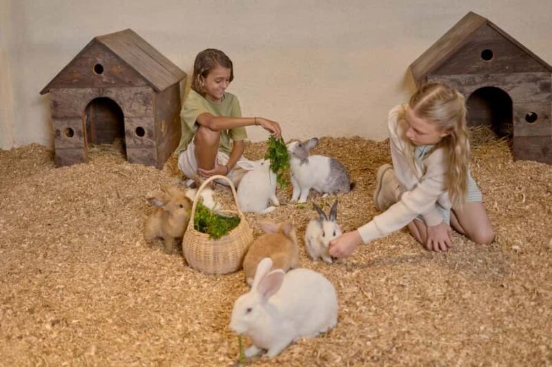 Bali: Farm House Experience with Entry Ticket & Options - Final Thoughts