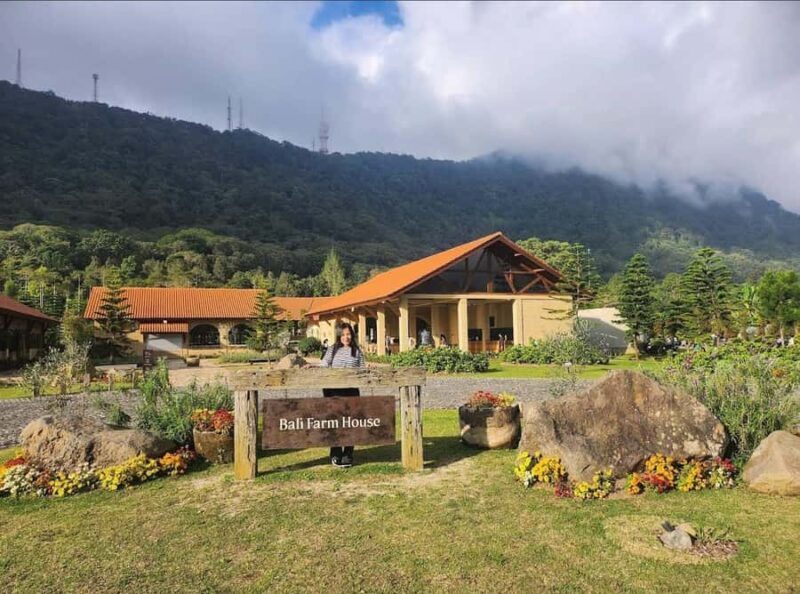 Bali: Farm House Pancasari & Strawberry Picking Tour - Good To Know