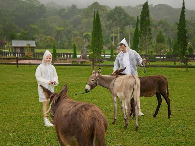 Bali Farm House Ticket - What to expect on a farm visit