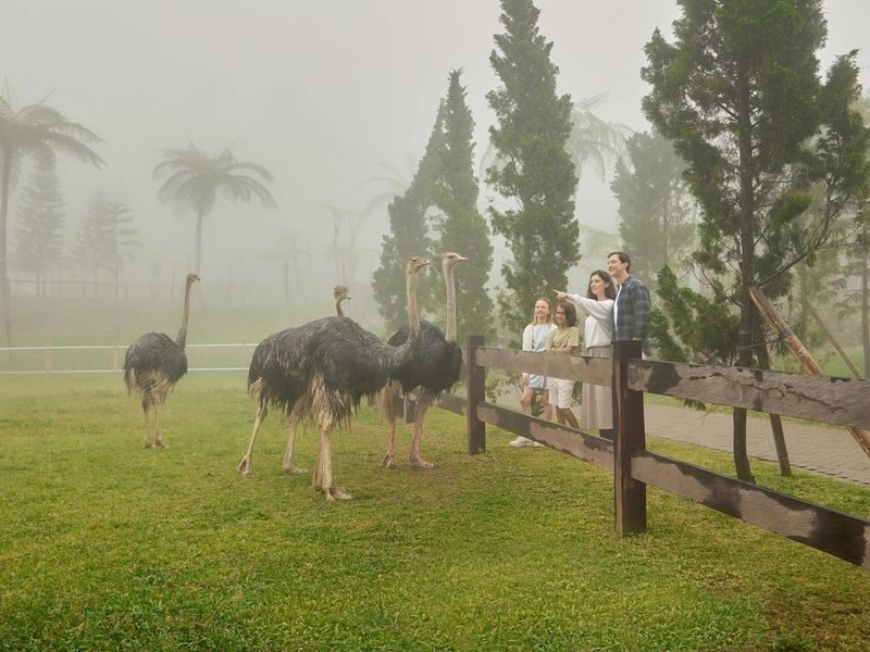 Bali Farm House Ticket - Reaching Pancasari from southern Bali